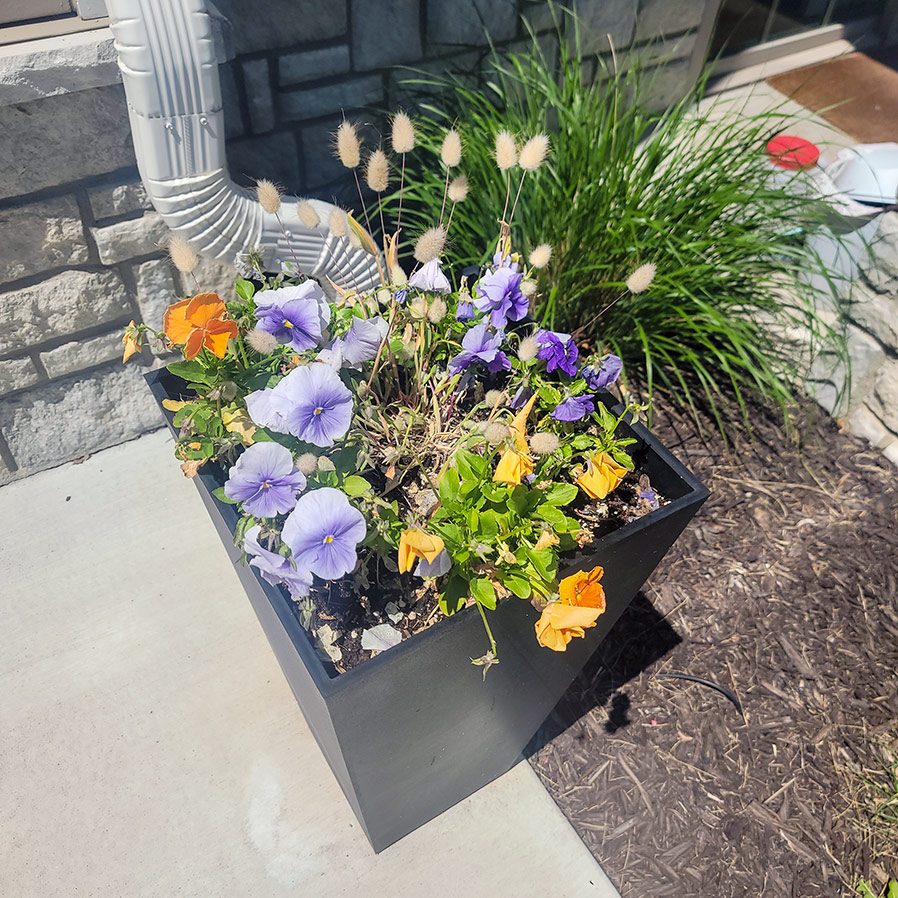 A large square planter filled with flowers of many colors and varieties.