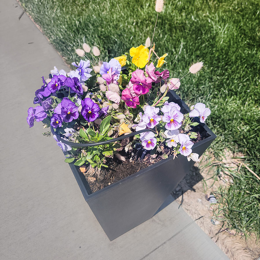 A large square planter filled with flowers of many colors and varieties.
