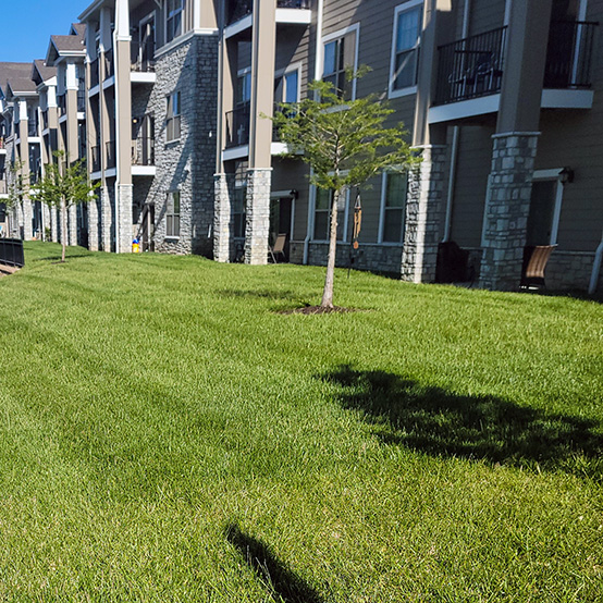 The exterior and grounds of The Wellington Senior Living, featuring carefully maintained lawn and trees.